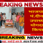 नगर पंचायत मल्हार के भाजपाइयों ने पं.दीनदयाल उपाध्याय के योगदान को किया याद