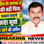 बेमौसम बारिश की आशंका से किसानों की बढ़ी चिंता, धान की फसल बचाने चंद्रप्रकाश सूर्या ने की सतर्क रहने की अपील